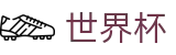 2026国际足联世界杯 - FIFA官方中文官网